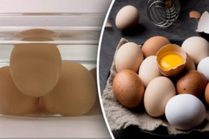 kiaušinių šviežumo patikrinimas per kelias sekundes
