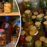 homemade pickles long term storage guide