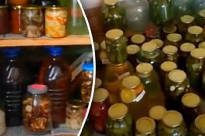 homemade pickles long term storage guide