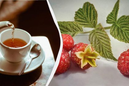 raspberry leaf tea benefits