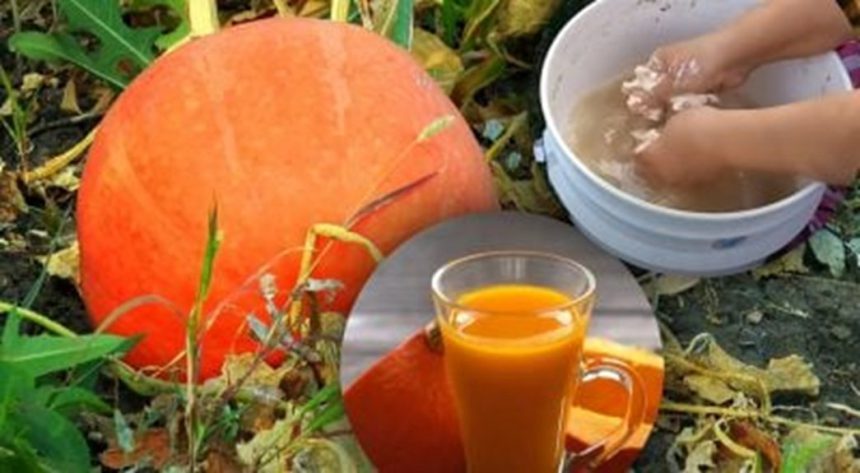 seasonal sweetness harvest delight