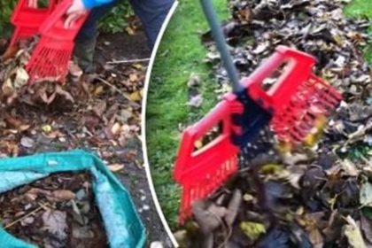 autumn leaf cleanup strategies