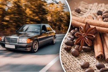 cinnamon used as car deodorizer