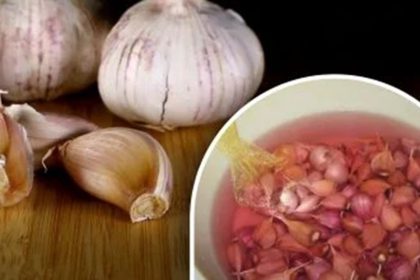 prevent garlic rot boost harvest