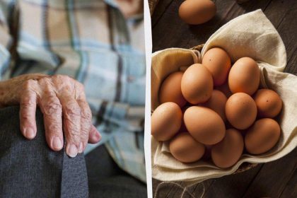 protein rich nutrient for seniors