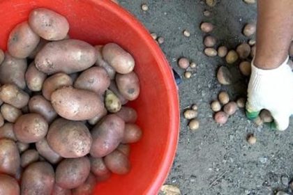 ką daryti su smulkiais dalykais