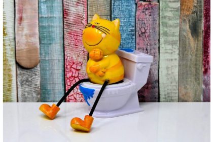 close lid hygiene and superstition