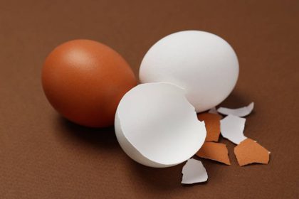 Kiaušinių lukštai naudojimui sode