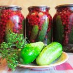 Naminiai agurkėliai su raudonaisiais serbentais